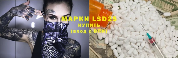 PSILOCYBIN Аркадак