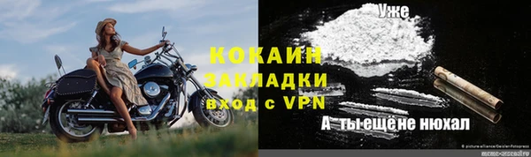 PSILOCYBIN Аркадак