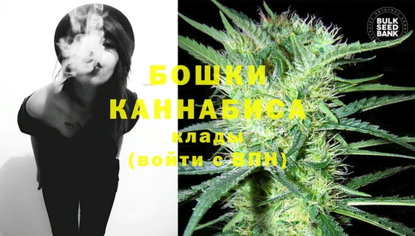 PSILOCYBIN Аркадак