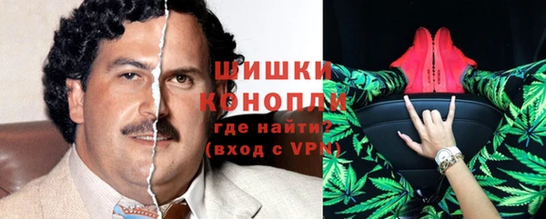 PSILOCYBIN Аркадак