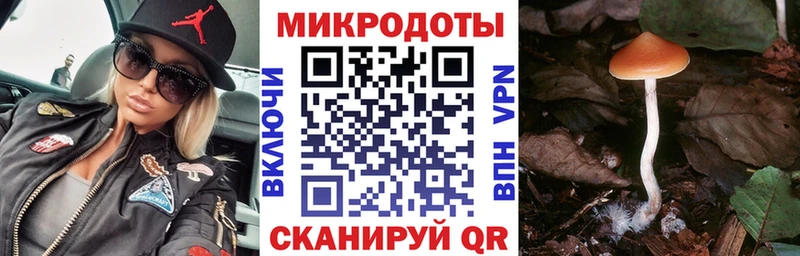 где продают наркотики  Курган  Галлюциногенные грибы мухоморы 