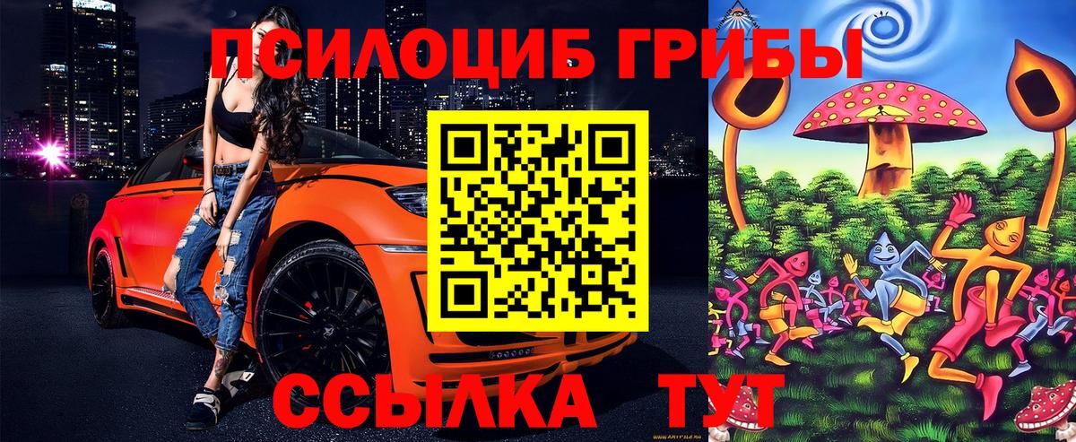Псилоцибиновые грибы ЛСД  купить наркоту  Курган  Вход с VPN 